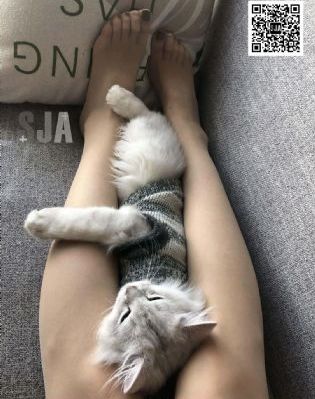 出包王女在线观看